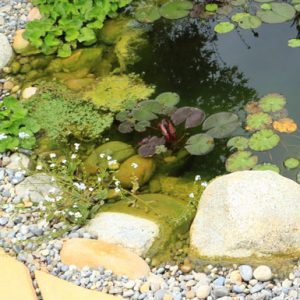 decorazione da giardino